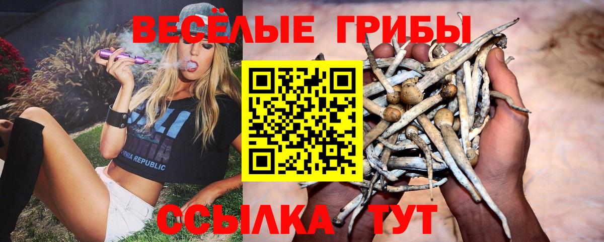 Баксан  Галлюциногенные грибы прущие грибы  Вход с VPN  Галлюциногенные грибы Magic Shrooms 