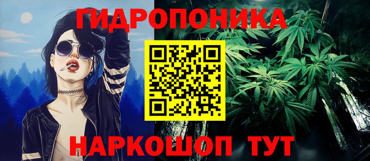 Шишки марихуана OG Kush  Шишки марихуана планчик  Каннабис гибрид  Вход с VPN  Баксан 
